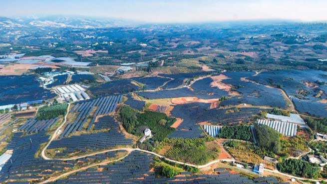 solar panel tracking system price