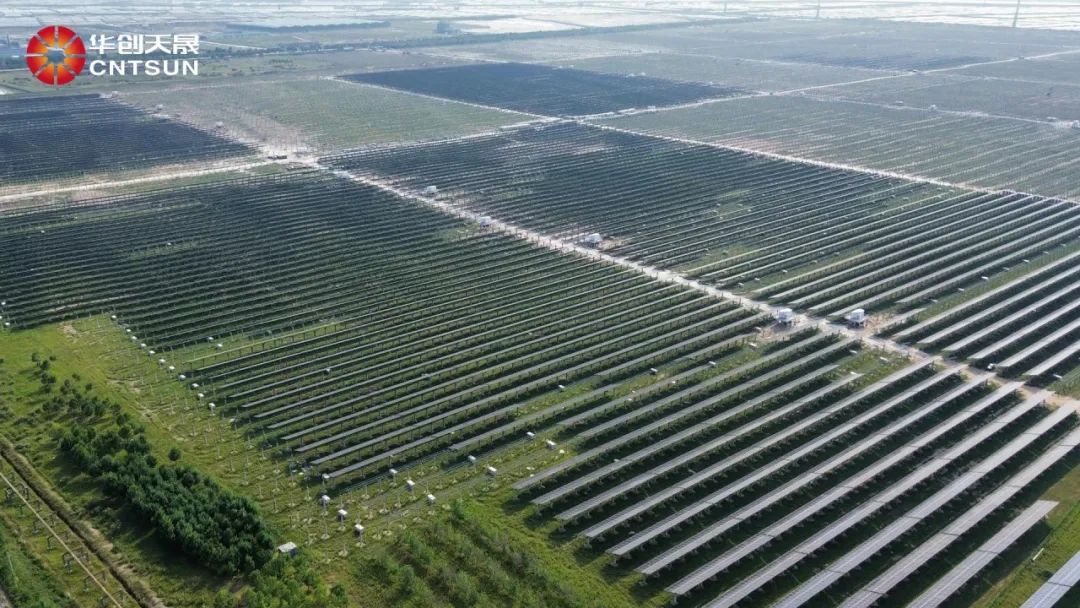 congratulations-to-cntsun-for-winning-the-bid-of-huadian-zibo-200mw-agro-photovoltaic-mounting-project-in-shandong_(2).jpg