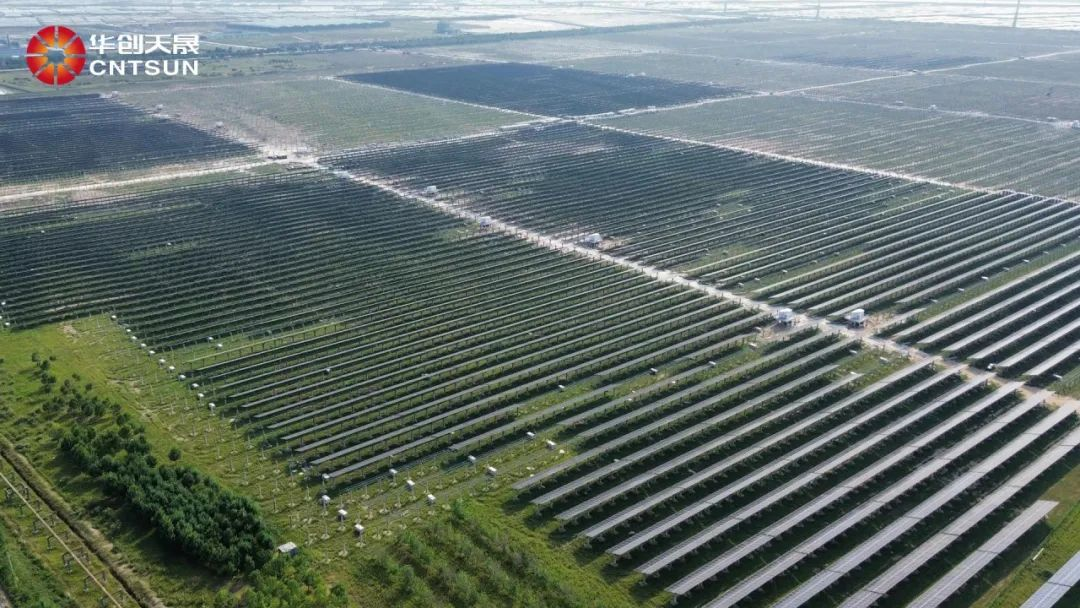 Congratulations to CNTSUN for Winning the Bid of Huadian Zibo 200MW Agro-Photovoltaic Mounting Project in Shandong