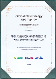 Global New Energy ESG TOP 100