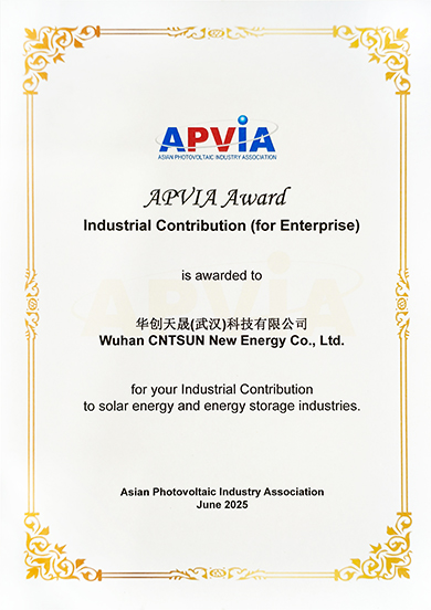 The 2025 APVIA Awards