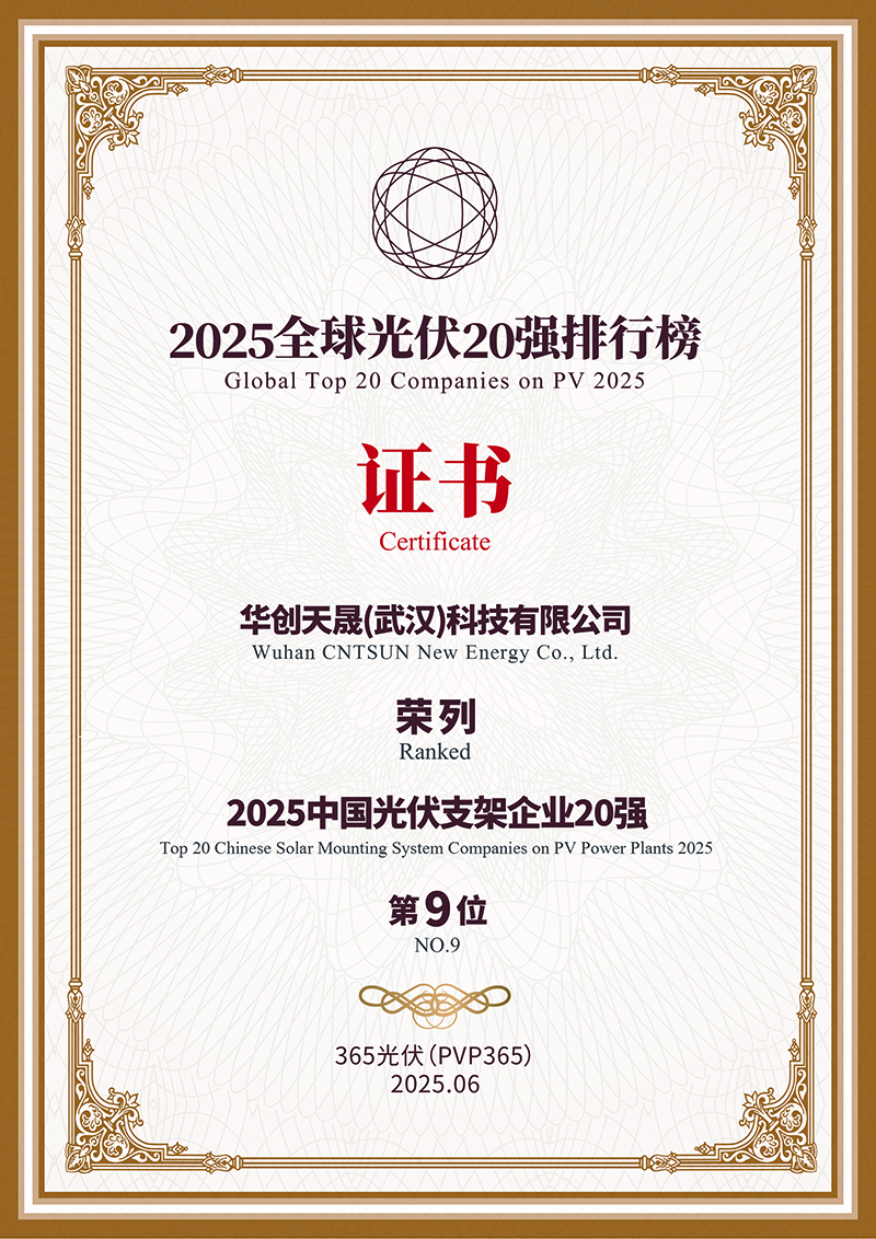 Global Top 20 Companies on PV 2025  NO.9