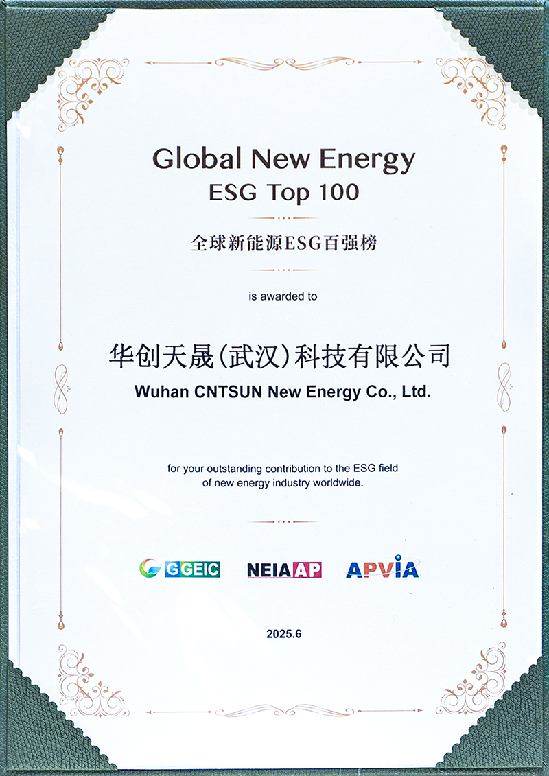 Global New Energy ESG TOP 100