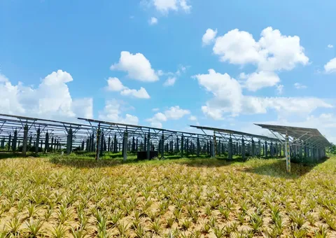 Jingneng Hainan 100MW PV Project